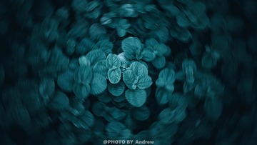 1000085717