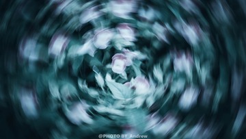 1000085716
