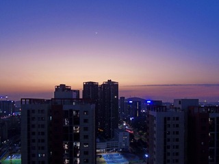 1000008081