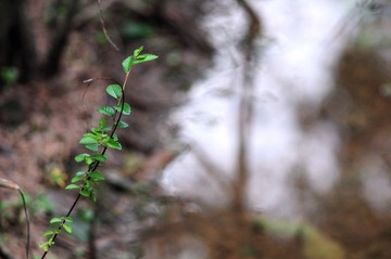 DSC_0131_