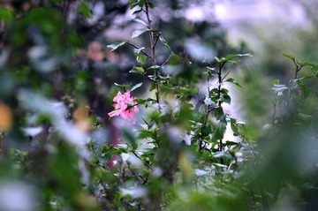 DSC_0179_