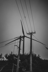 1000012764