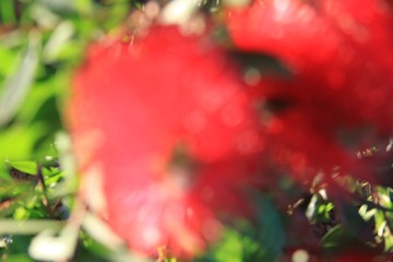 IMG_7621