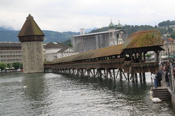 IMG_7173