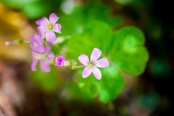 20140419-DSC_0325