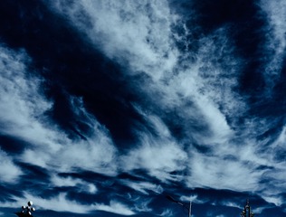 30723