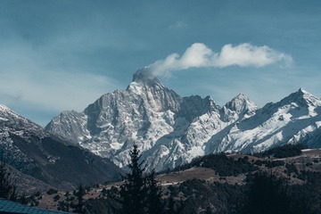 1000056211