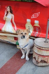 IMG_2516.JPG