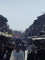 1000048381