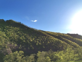 907231