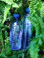 IMG_20240325_135522