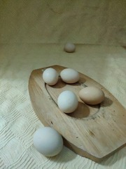 4379