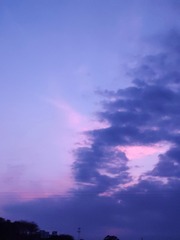 3656
