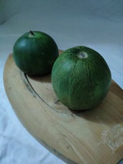 IMG_20240330_160756
