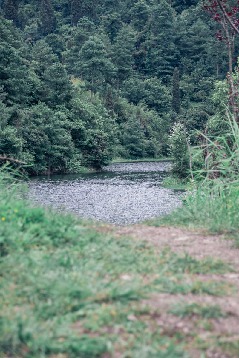 昆明大墨雨水库水清境幽一座小村子里的夏天