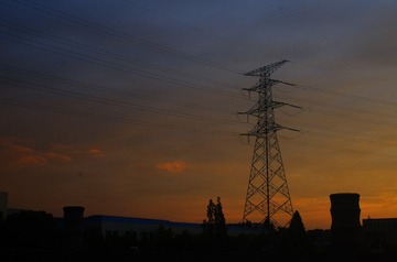 1000278691