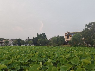 1000024501