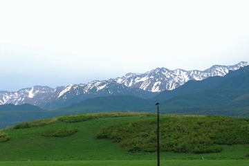 1000006168