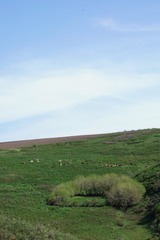 1000006164