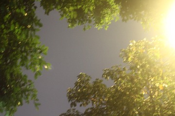 1000001306