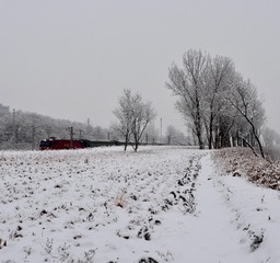 24722