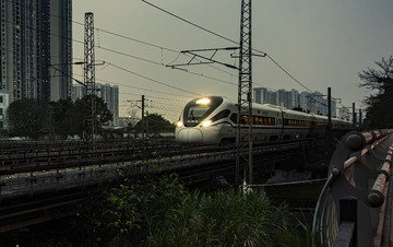 17036
