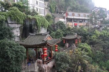 照片 429