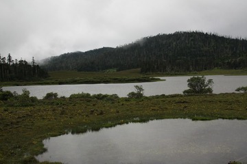 IMG_6651