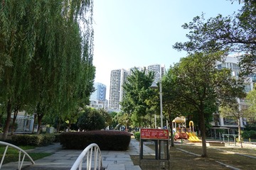 DSC05579