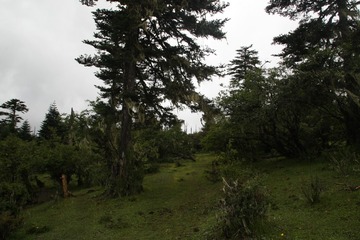 IMG_6690