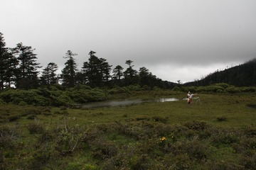 IMG_6648