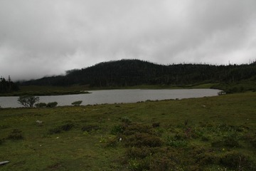 IMG_6647