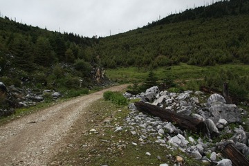 IMG_6632