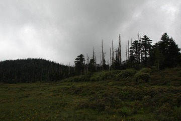 IMG_6706