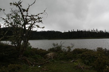 IMG_6668