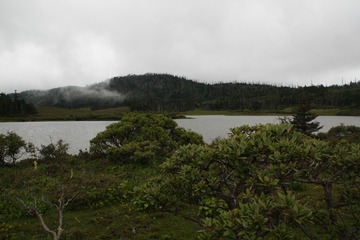 IMG_6660
