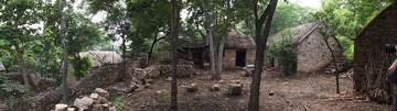 DSCF8211
