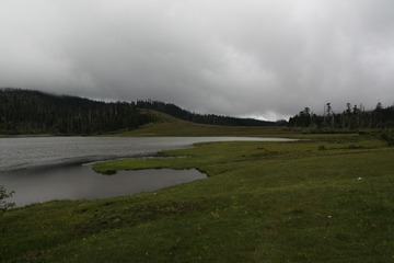 IMG_6695