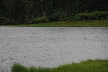 IMG_6699