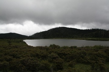 IMG_6683
