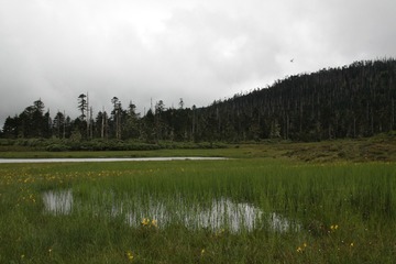 IMG_6700