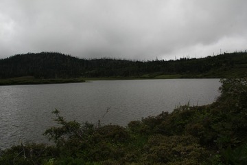 IMG_6661