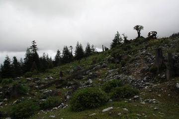 IMG_6637