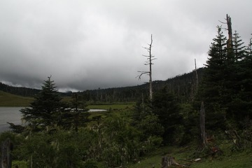 IMG_6693