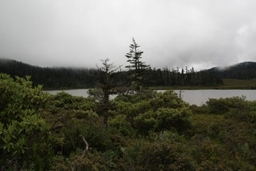 IMG_6655
