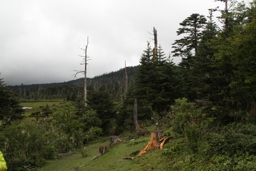IMG_6692