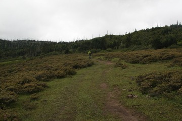 IMG_6681
