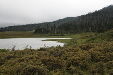 IMG_6687