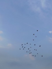 1702706