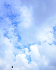1252871